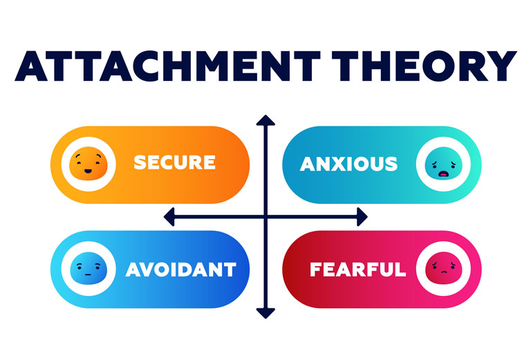 The four common patterns: secure, anxious, avoidant, and disorganized